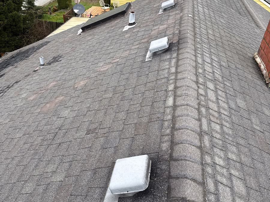 Moss covered worn shingle roof before replacement