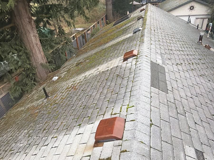 Old moss covered roof ridge before replacement